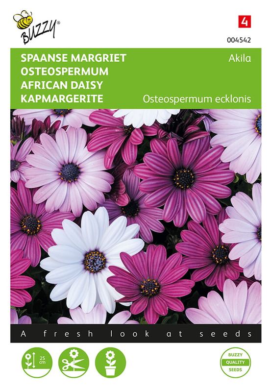 Buzzy® Osteospermum, Spaanse Margriet Akila mix
