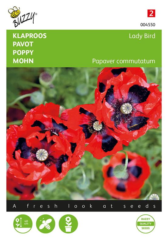 Buzzy® Papaver, Klaproos Lady Bird
