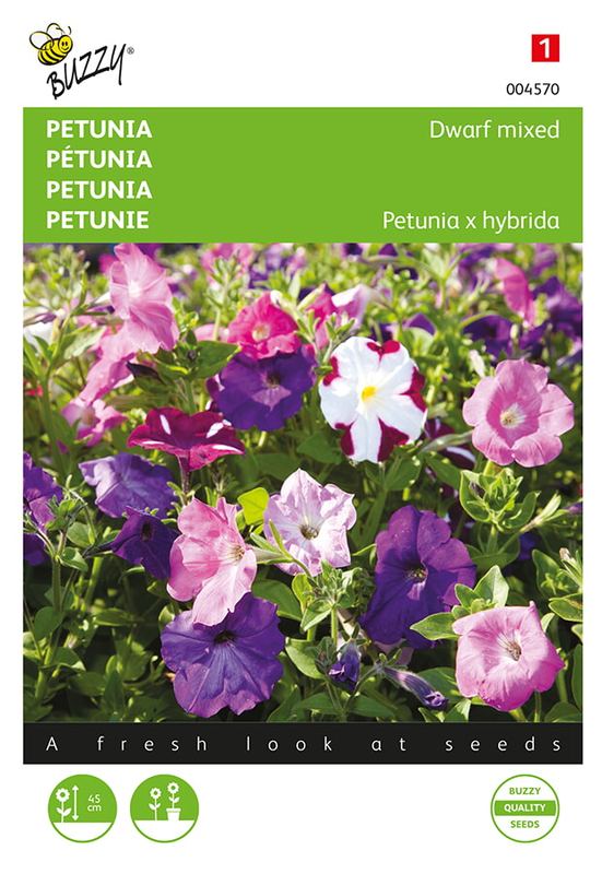 Buzzy® Petunia laag gemengd
