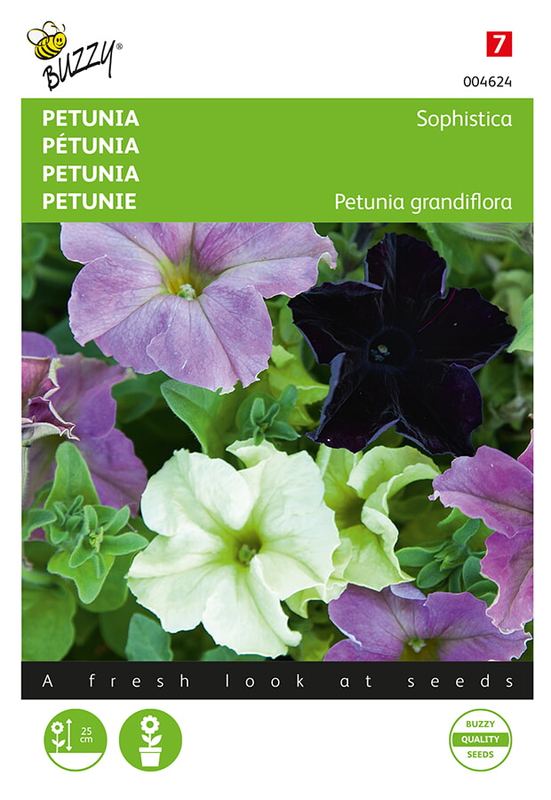 Buzzy® Petunia Sophistica gemengd