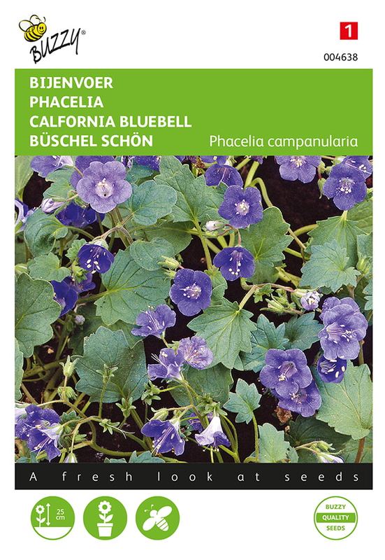 Buzzy® Phacelia, Bijenvoer