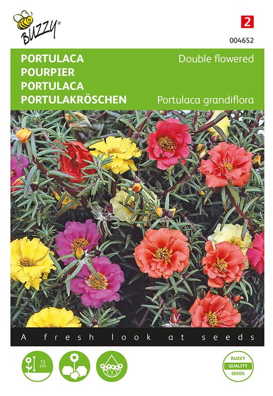 Buzzy® Portulaca dubbelbloemig gemengd
