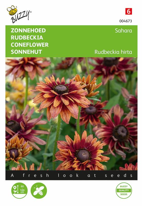 Buzzy® Rudbeckia Sahara