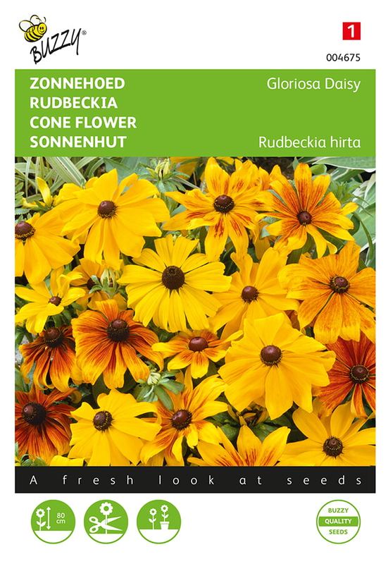 Buzzy® Rudbeckia, Zonnehoed Gloriosa Daisy