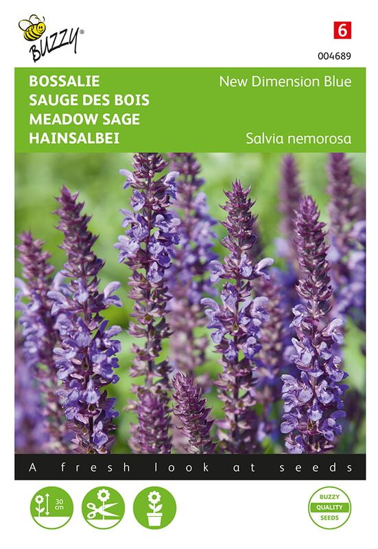 Buzzy® Salvia, Bossalie New Dimension Blue