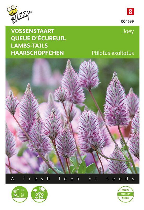 Buzzy® Ptilotus, Sierlijke Vossenstaart Joey