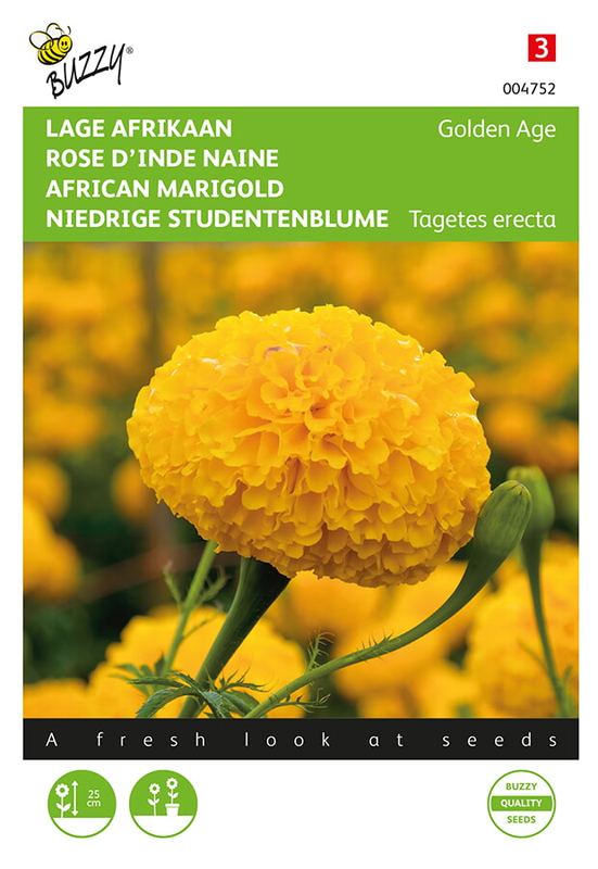 Buzzy® Tagetes, nain Afrikaan Golden Age