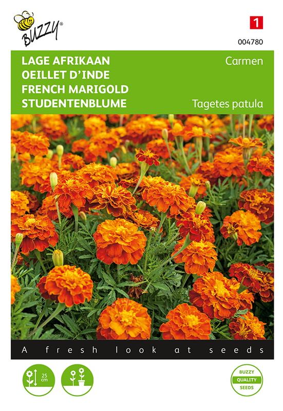 Buzzy® Tagetes, nain Afrikaan Carmen