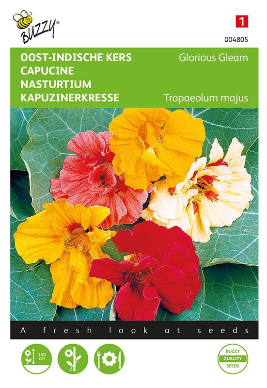 Buzzy® Tropaeolum, Oost-Indische kers Glorious Gleam