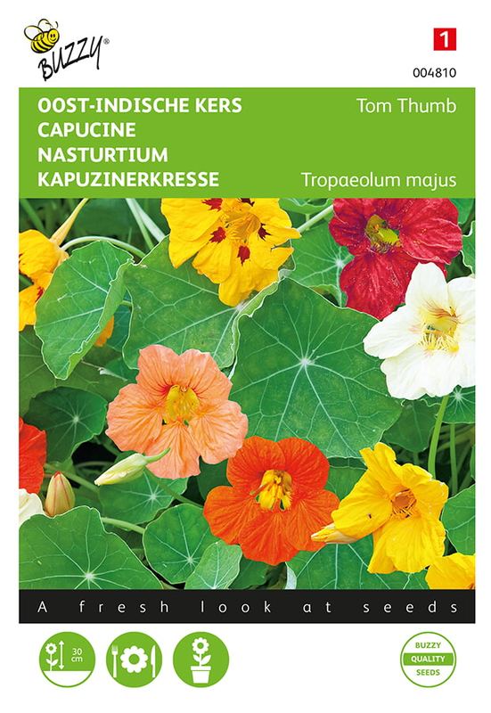 Buzzy® Tropaeolum, Oost-Indische kers Tom Thumb mélangé