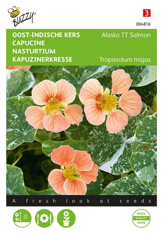 Buzzy® Tropaeolum, Oost-indische kers Alaska TT Salmon