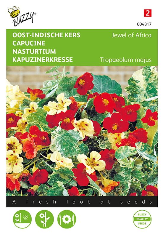 Buzzy® Tropaeolum, Oost-Indische kers Jewel of Africa