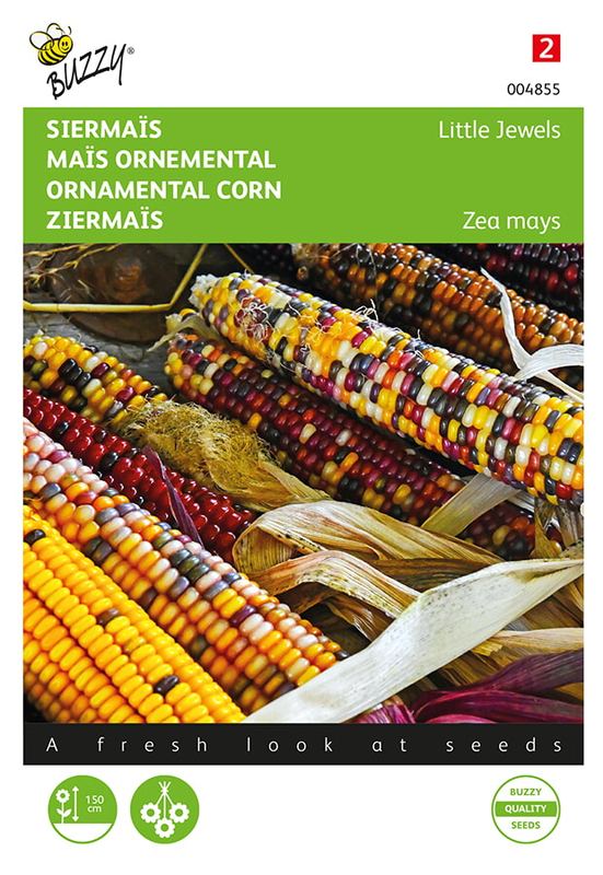 Buzzy® Zea Mays, Siermaïs Little Jewels gemengd