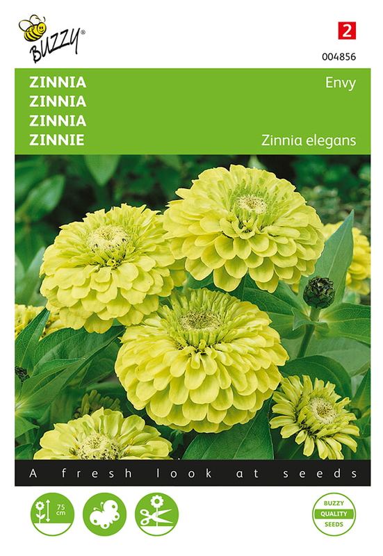 Buzzy® Zinnia Elegans Dahlia Flowered Envy, Green
