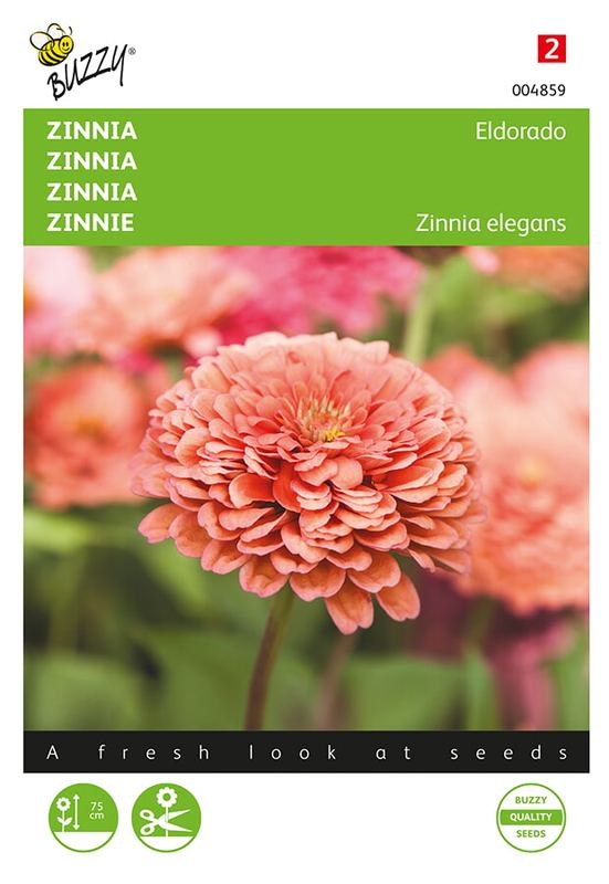 Buzzy® Zinnia El. Dahliaflowered Eldorado