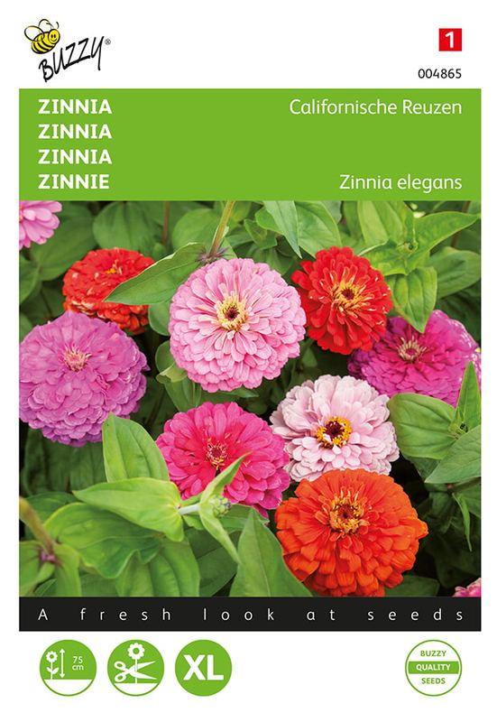 Buzzy® Zinnia Californische Reuzen gemengd