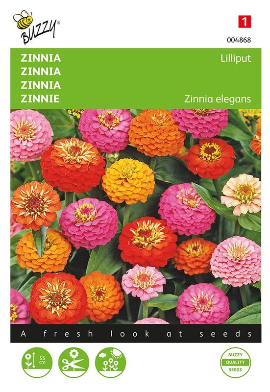 Buzzy® Zinnia Lilliput gemengd