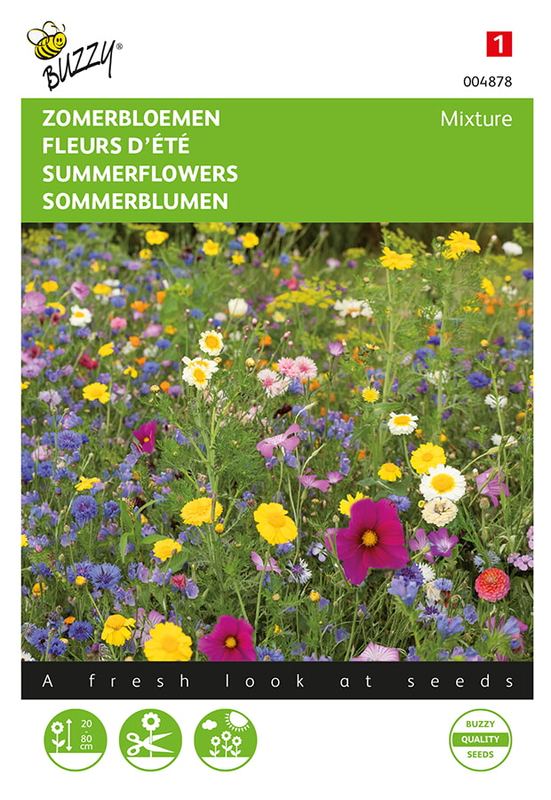 Buzzy® Zomerbloemen gemengd