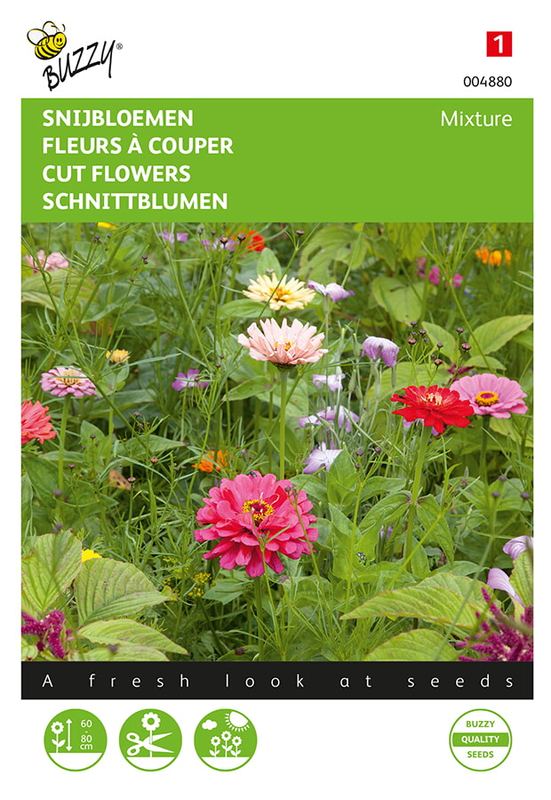 Buzzy® Snijbloemen Mengsel
