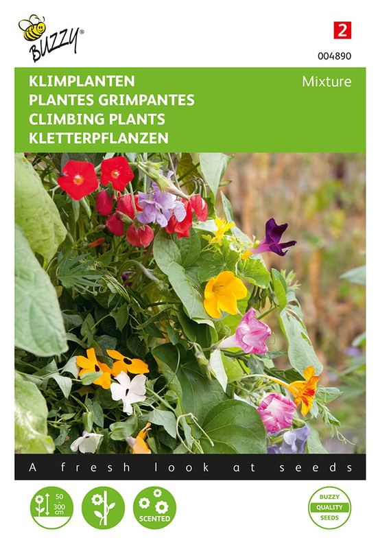 Buzzy® Klimplanten Mélange