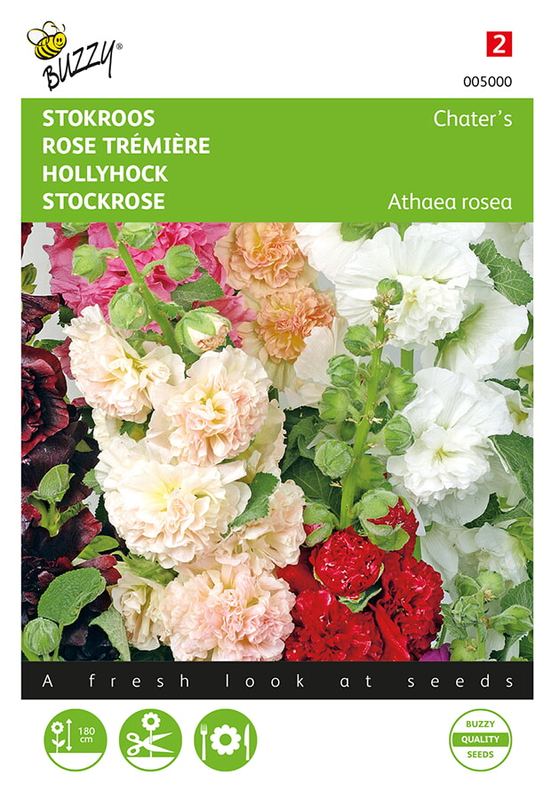 Buzzy® Althaea (Alcea), Stokroos Chater’s dubbelbloemig