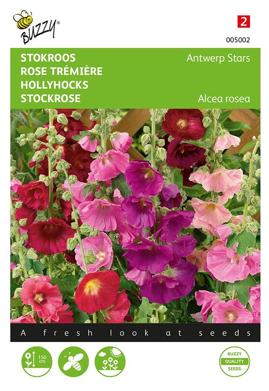 Buzzy® Althaea (Alcea), Stokroos Antwerp Stars mix