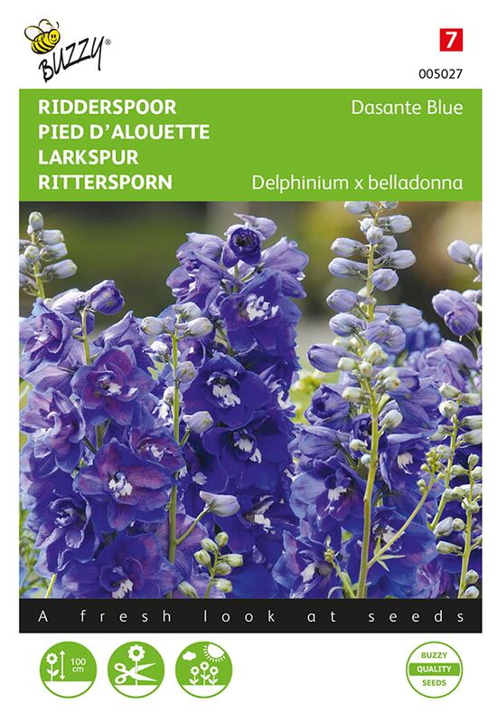 Buzzy® Delphinium, Ridderspoor Dasante Blue