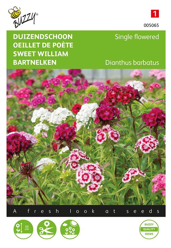 Buzzy® Dianthus, Duizendschoon enkelbloemig mélangé