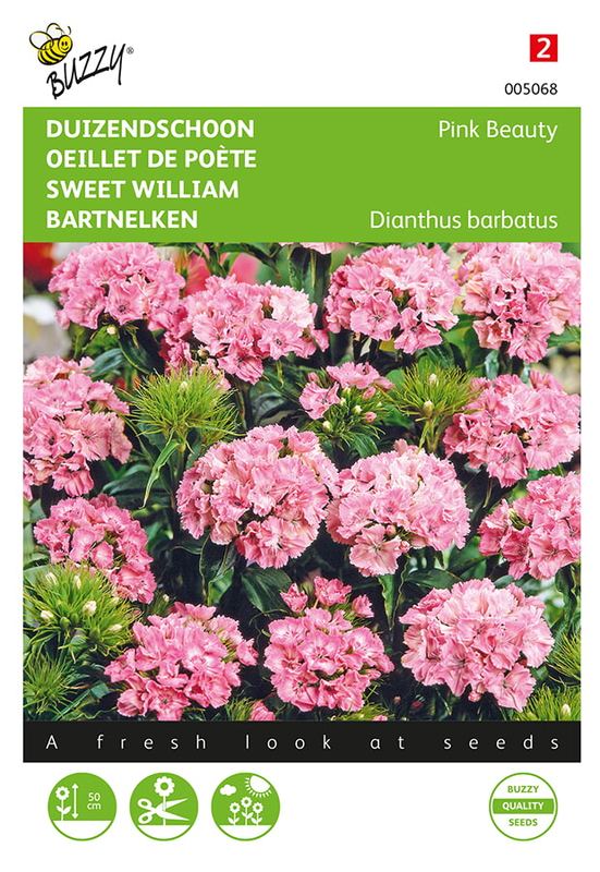 Buzzy® Dianthus, Duizenschoon Pink Beauty