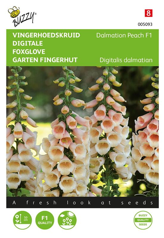 Buzzy® Digitalis, Vingerhoedskruid Dalmation F1 Peach
