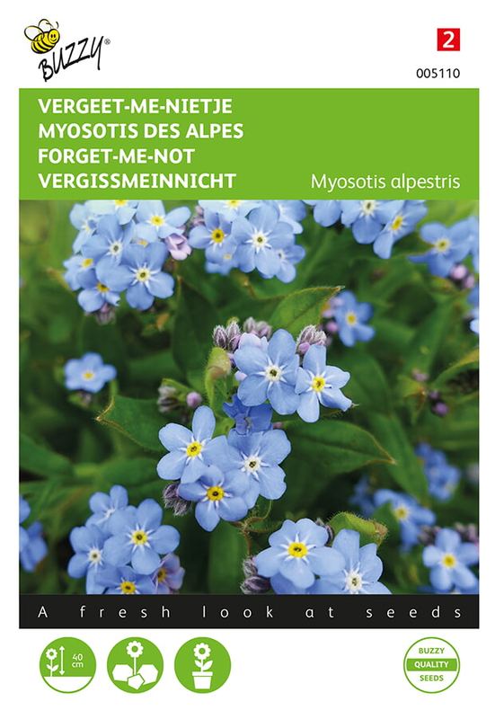 Buzzy® Myosotis, 'vergeet-me-nietje' bleu