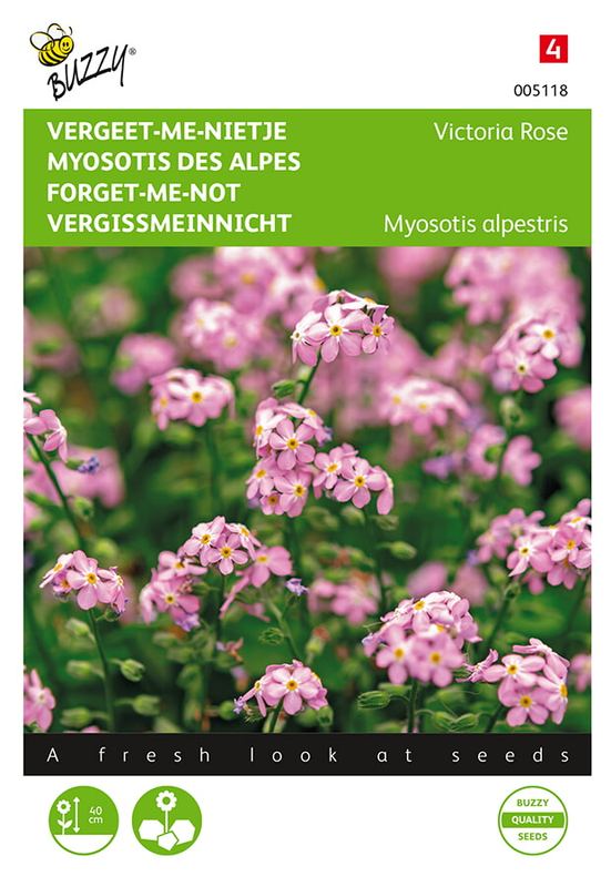 Buzzy® Myosotis, 'vergeet-me-nietje' Victoria Rose