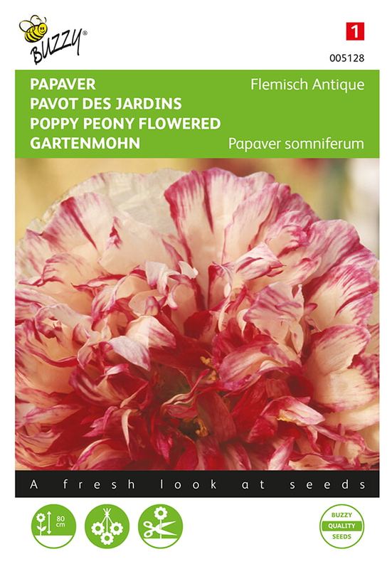 Buzzy® Papaver, Slaapbol Flemish Antique