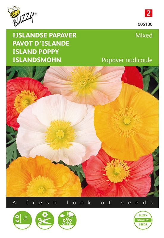 Buzzy® Papaver, IJslandse Excelsior gemengd