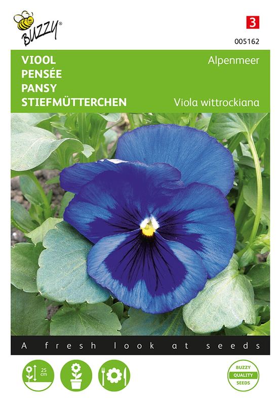 Buzzy® Viola, Viool Alpenmeer blauw