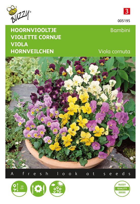 Buzzy® Viola, Hoornviooltje Bambini gemengd