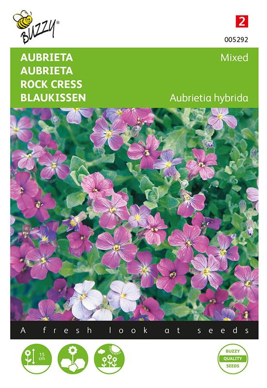 Buzzy® Aubrieta Grandiflora gemengd