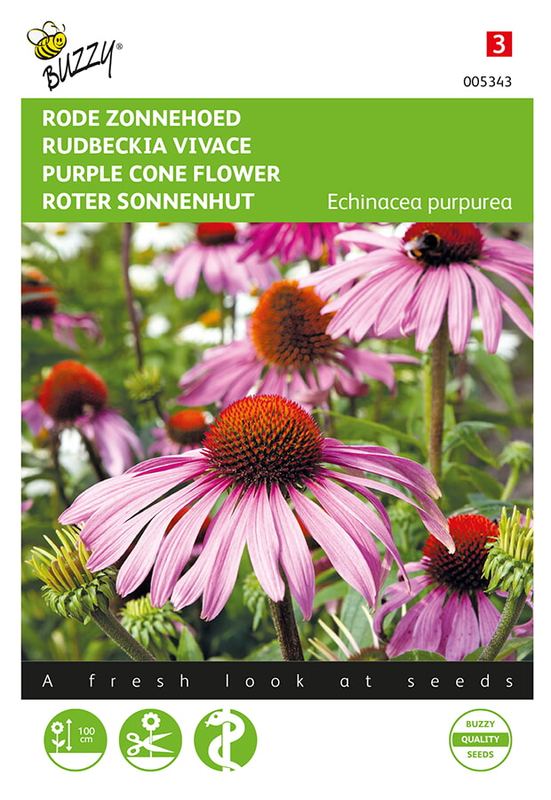 Buzzy® Echinacea, Rode Zonnehoed