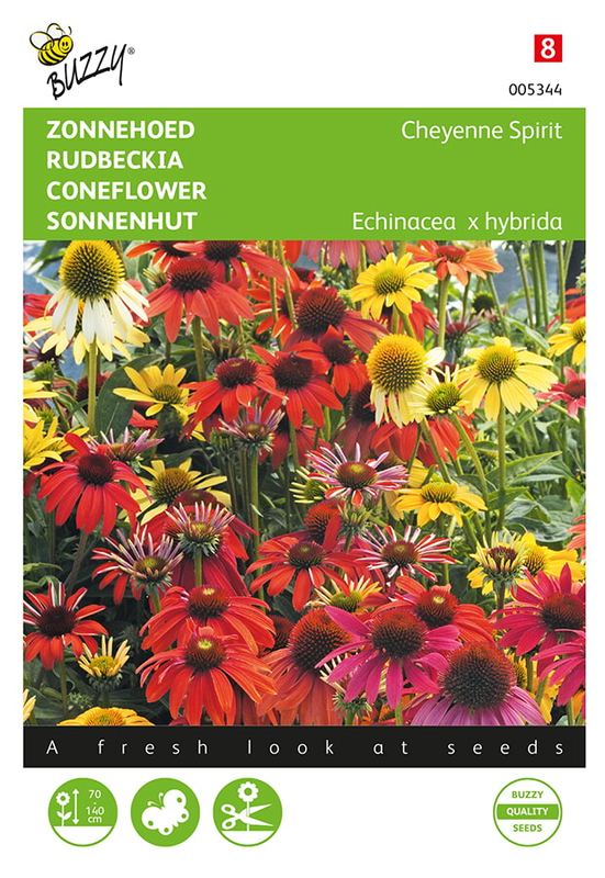 Buzzy® Echinacea, Zonnehoed Cheyenne Spirit