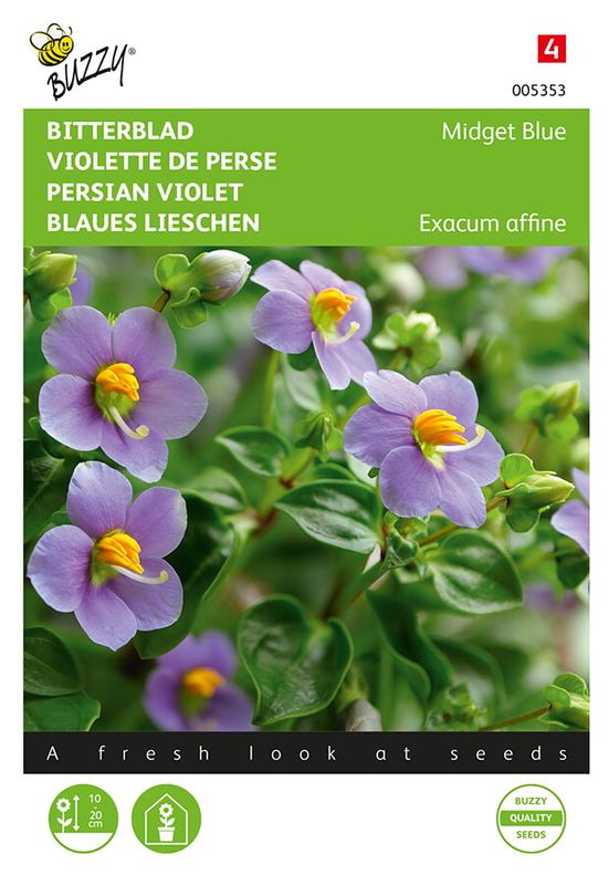 Buzzy® Exacum affine Midget Blue