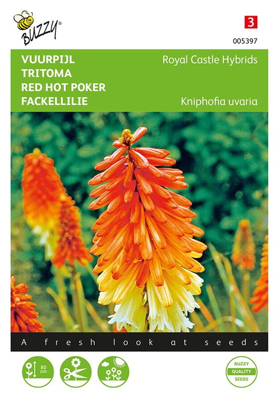 Buzzy® Kniphofia, Vuurpijl Royal Castle Hybrids