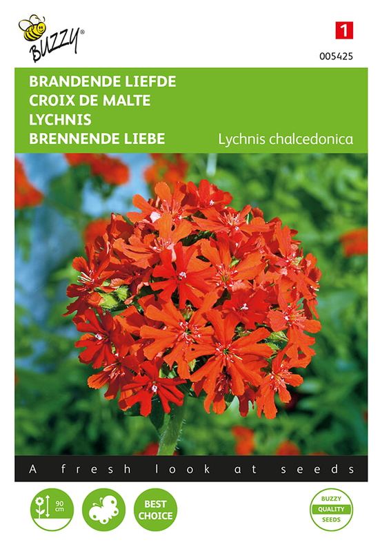 Buzzy® Lychnis, Brandende Liefde