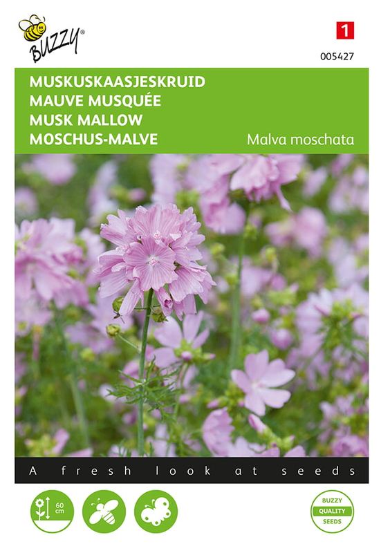 Buzzy® Malva, Muskus Kaasjeskruid roze