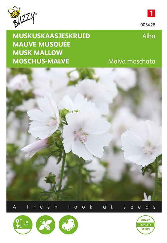 Buzzy® Malva, Muskuskaasjeskruid Alba blanc