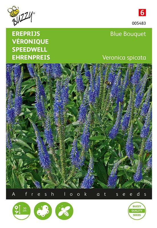 Buzzy® Veronica, Ereprijs Blue Bouquet