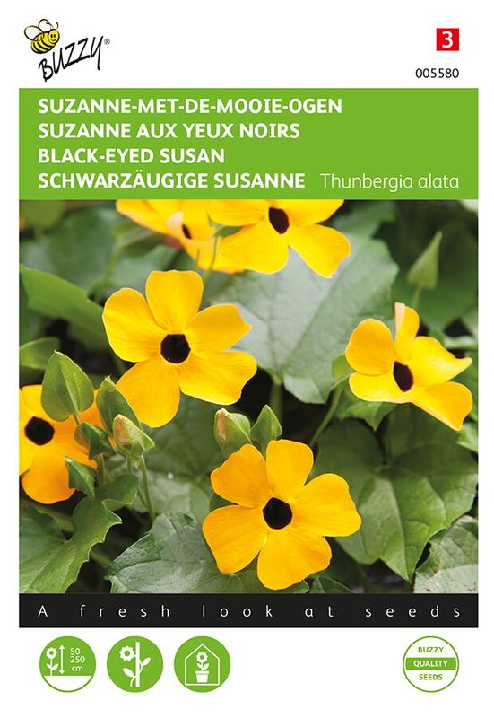 Buzzy® Thunbergia, Suzanne-met-de-mooie-ogen