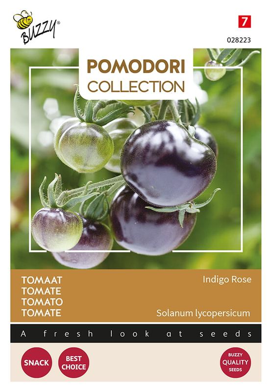 Buzzy® Pomodori Indigo rose (zwart)