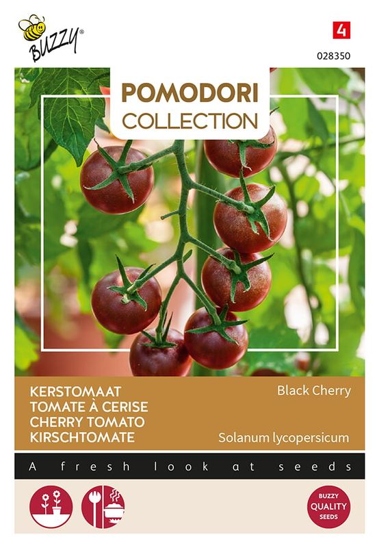 Buzzy® Pomodori Black Cherry