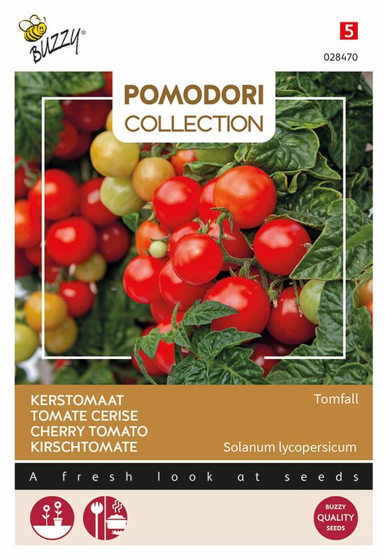 Buzzy® Pomodori Tomfall Pot- Tomato