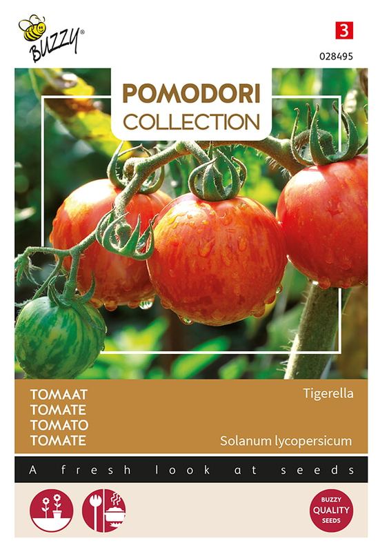 Buzzy® Pomodori Tigerella